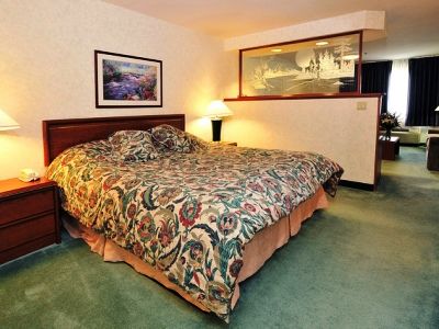 假日酒店Ihg 3*双人瀑布